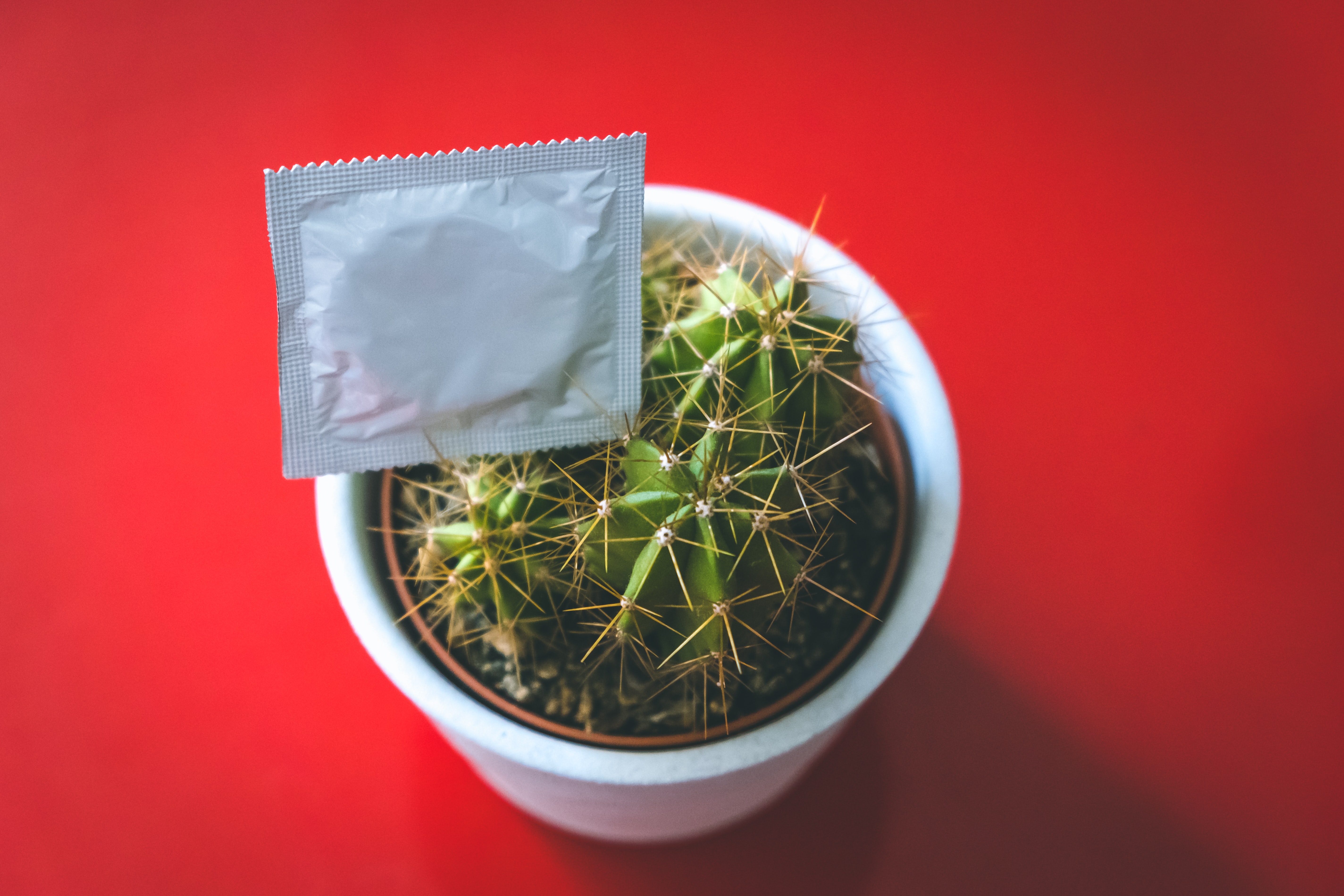 Condom and cactus by Benedikt Geyer (@b_g) on Unsplash