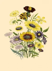 Botanical Print of yellow and purple flowers